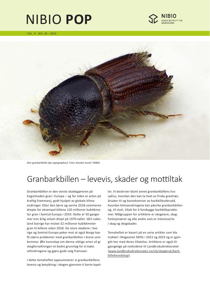 Forsiden av dokumentet Granbarkbillen – levevis, skader og mottiltak