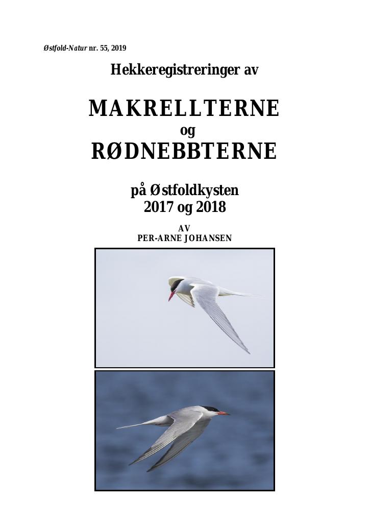 Forsiden av dokumentet Hekkeregistreringer av makrellterne og rødnebbterne på Østfoldkysten 2017 og 2018