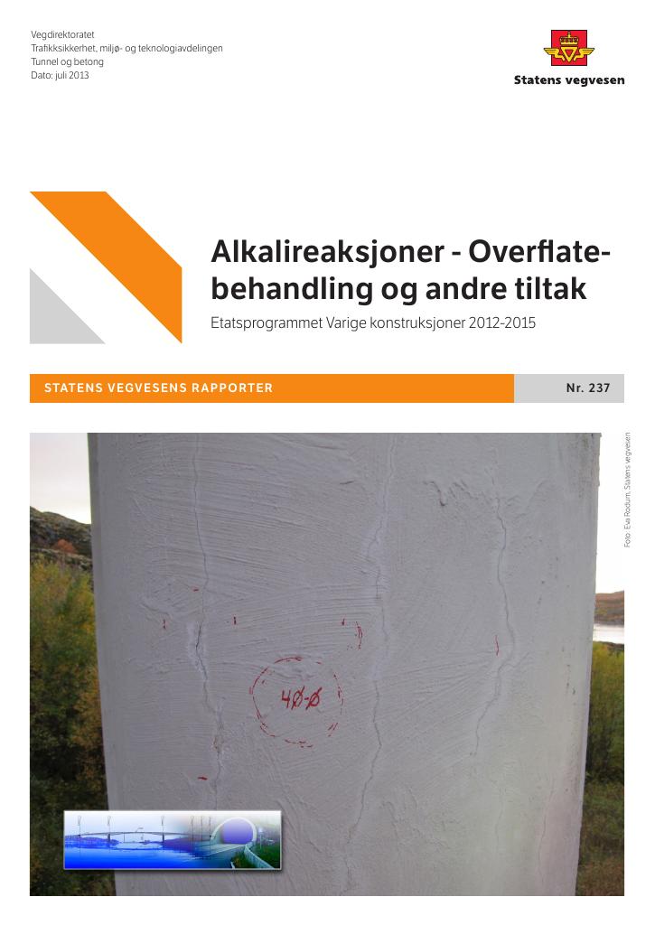 Forsiden av dokumentet Alkalireaksjoner - Overflatebehandling og andre tiltak