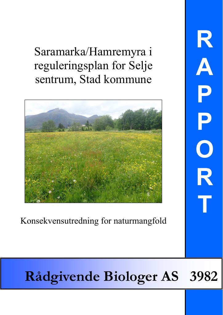 Forsiden av dokumentet Saramarka/Hamremyra i reguleringsplan for Selje sentrum, Stad kommune. Konsekvensutredning for naturmangfold