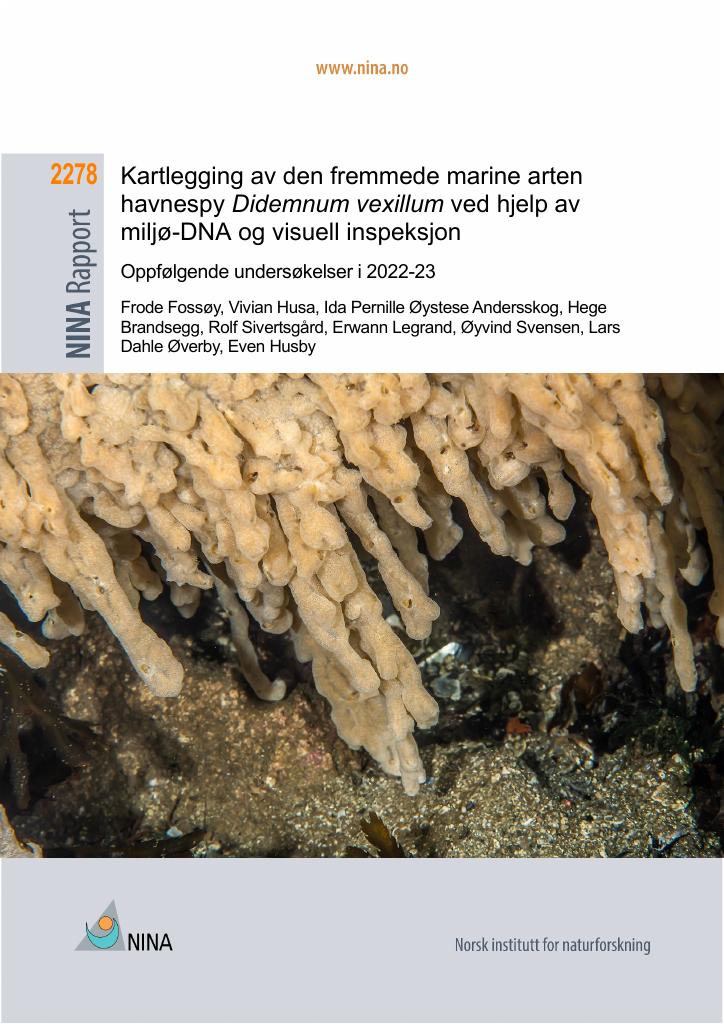 Forsiden av dokumentet Kartlegging av den fremmede marine arten havnespy Didemnum vexillum ved hjelp av miljø-DNA og visuell inspeksjon: Oppfølgende undersøkelser i 2022-23