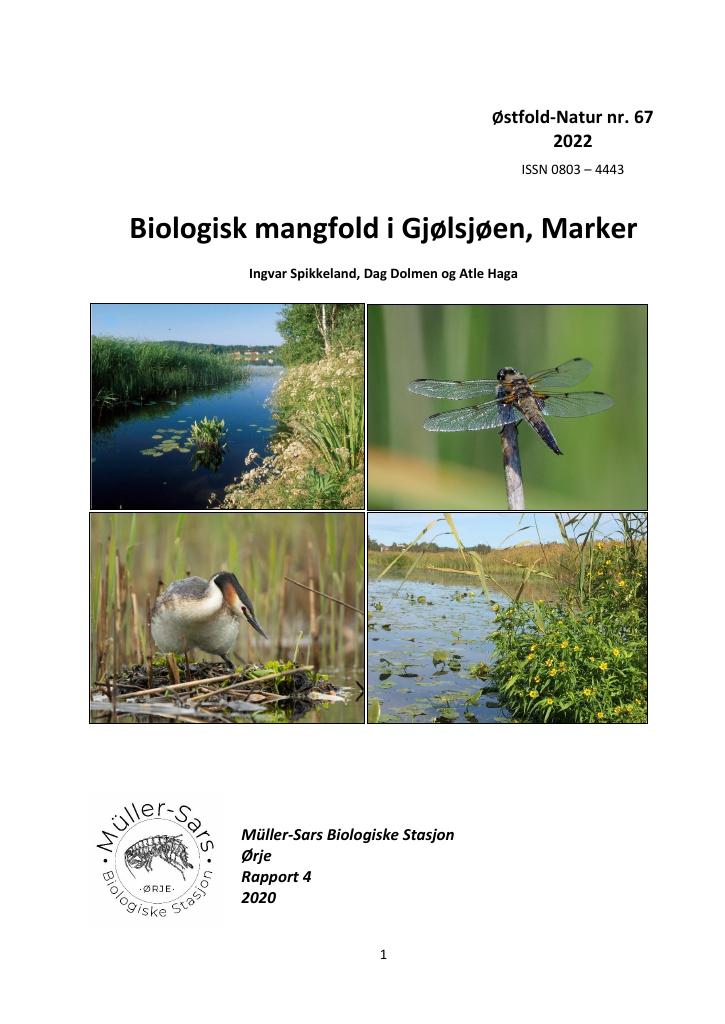 Forsiden av dokumentet Biologisk mangfold i Gjølsjøen, Marker