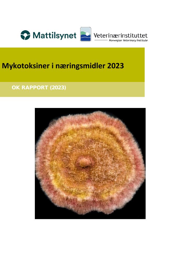 Forsiden av dokumentet Mykotoksiner i næringsmidler 2023, Rapport fra overvåking- og  kartleggingsprogram : OK rapport (2023)