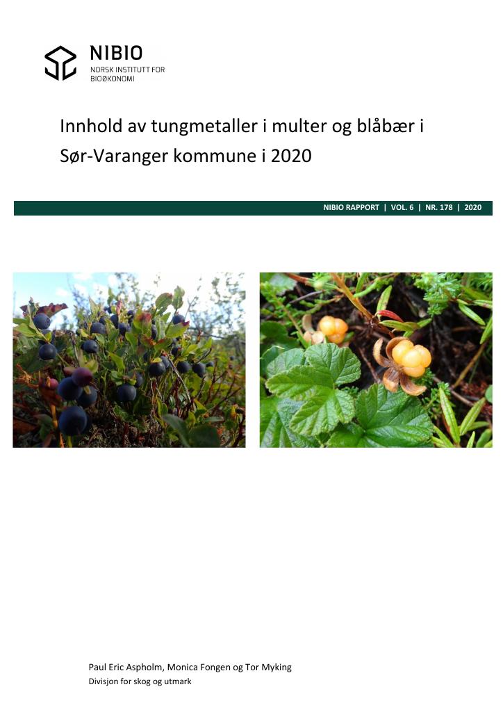Forsiden av dokumentet Innhold av tungmetaller i multer og blåbær i Sør-Varanger kommune i 2020