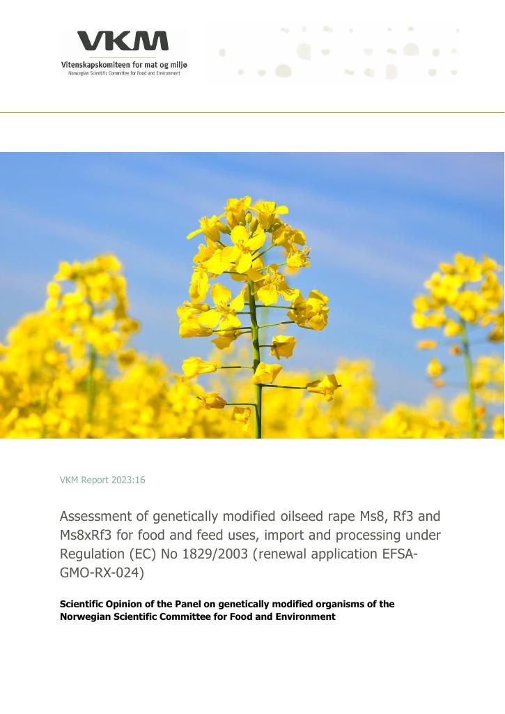 Forsiden av dokumentet Assessment of genetically modified oilseed rape Ms8, Rf3 and Ms8xRf3 for food and feed uses, import and processing under Regulation (EC) No 1829/2003 (renewal application EFSAGMO-RX-024)