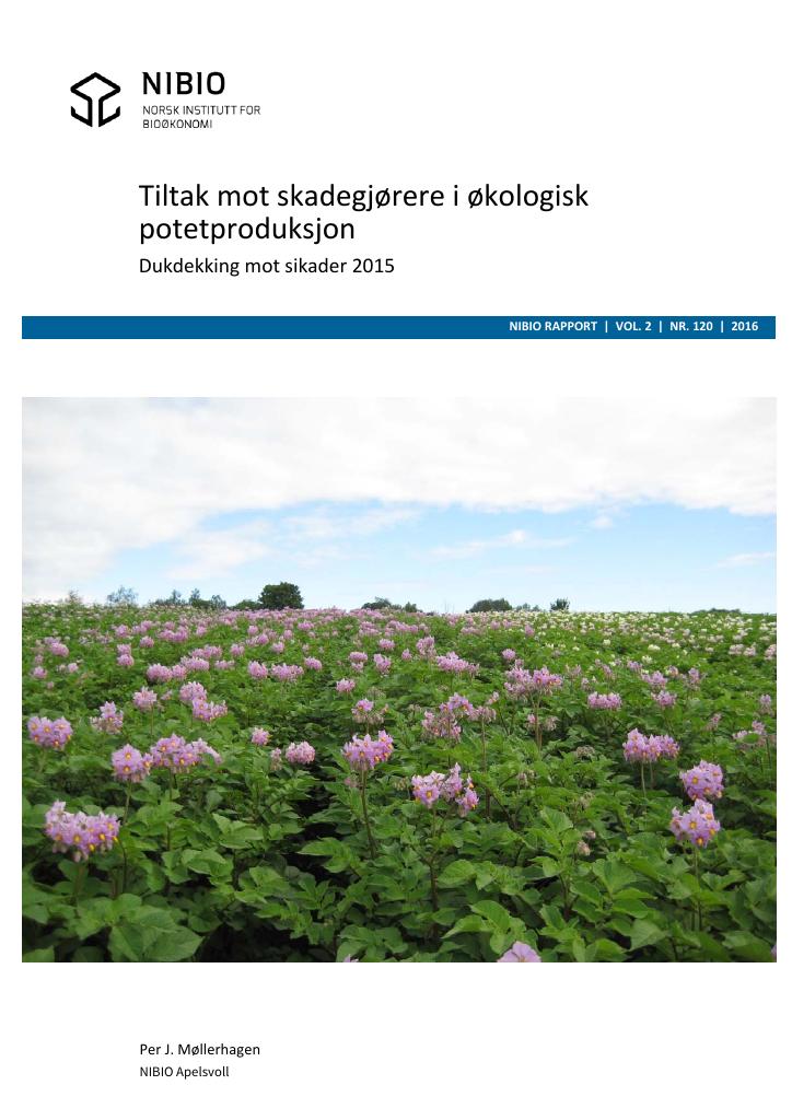 Forsiden av dokumentet Tiltak mot skadegjørere i økologisk potetproduksjon : dukdekking mot sikader 2015