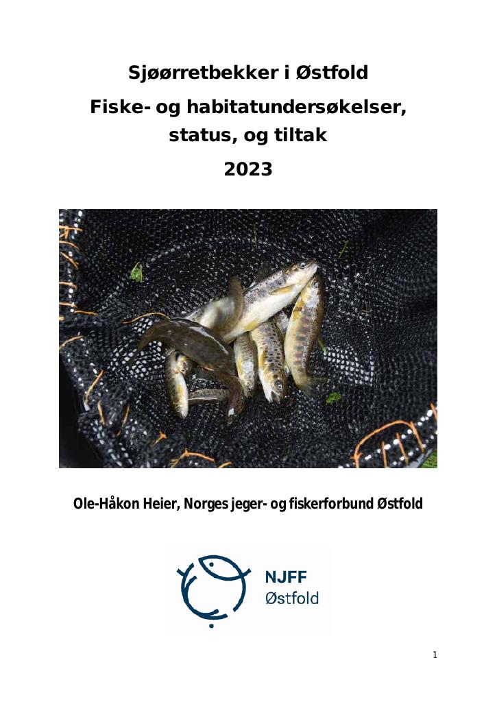 Forsiden av dokumentet Sjøørretbekker i Østfold fisk, habitat, status og tiltak 2023