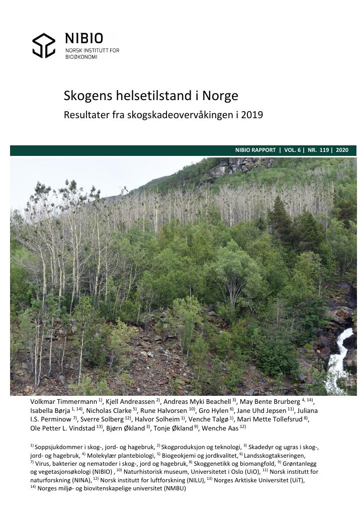 Forsiden av dokumentet Skogens helsetilstand i Norge : Resultater fra skogskadeovervåkingen i 2019