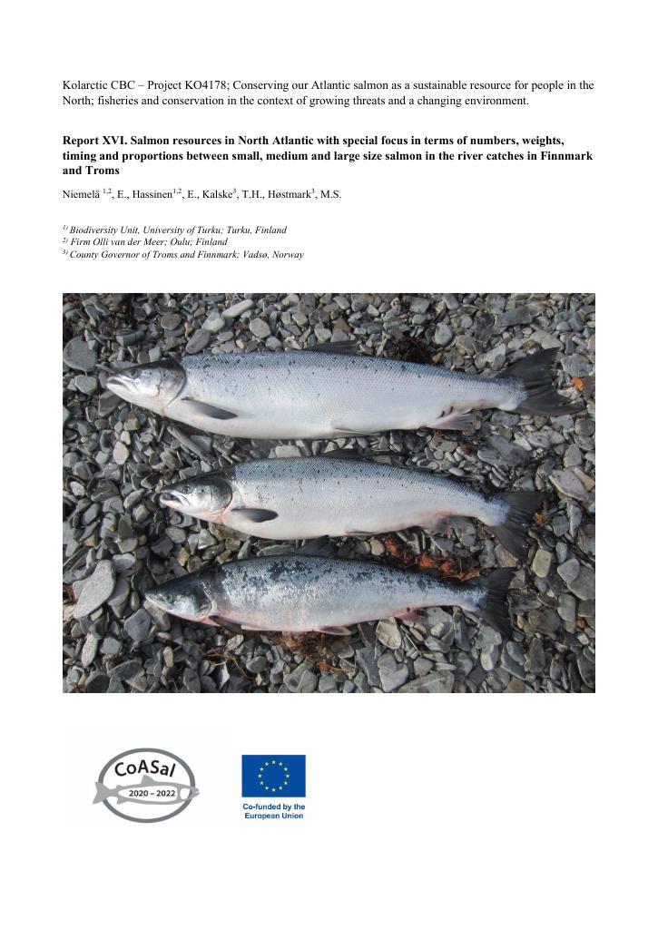 Forsiden av dokumentet REPORT XVI Salmon catches in Finnmark rivers