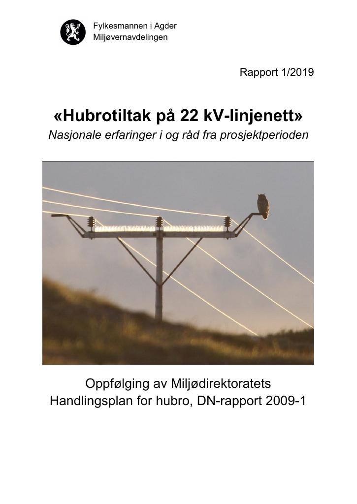 Forsiden av dokumentet «Hubrotiltak på 22 kV-linjenett»
Nasjonale erfaringer i og råd fra prosjektperioden