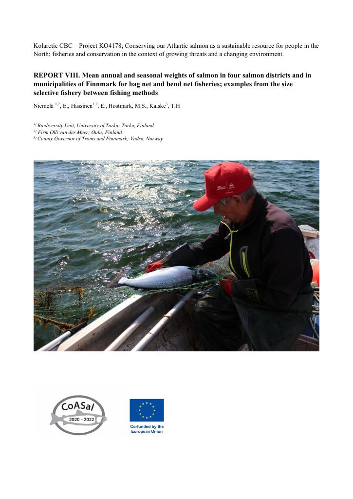 Forsiden av dokumentet REPORT VIII. Mean annual and seasonal weights of salmon in four salmon districts and in municipalities of Finnmark for bag net and bend net fisheries; examples from the size selective fishery between fishing methods