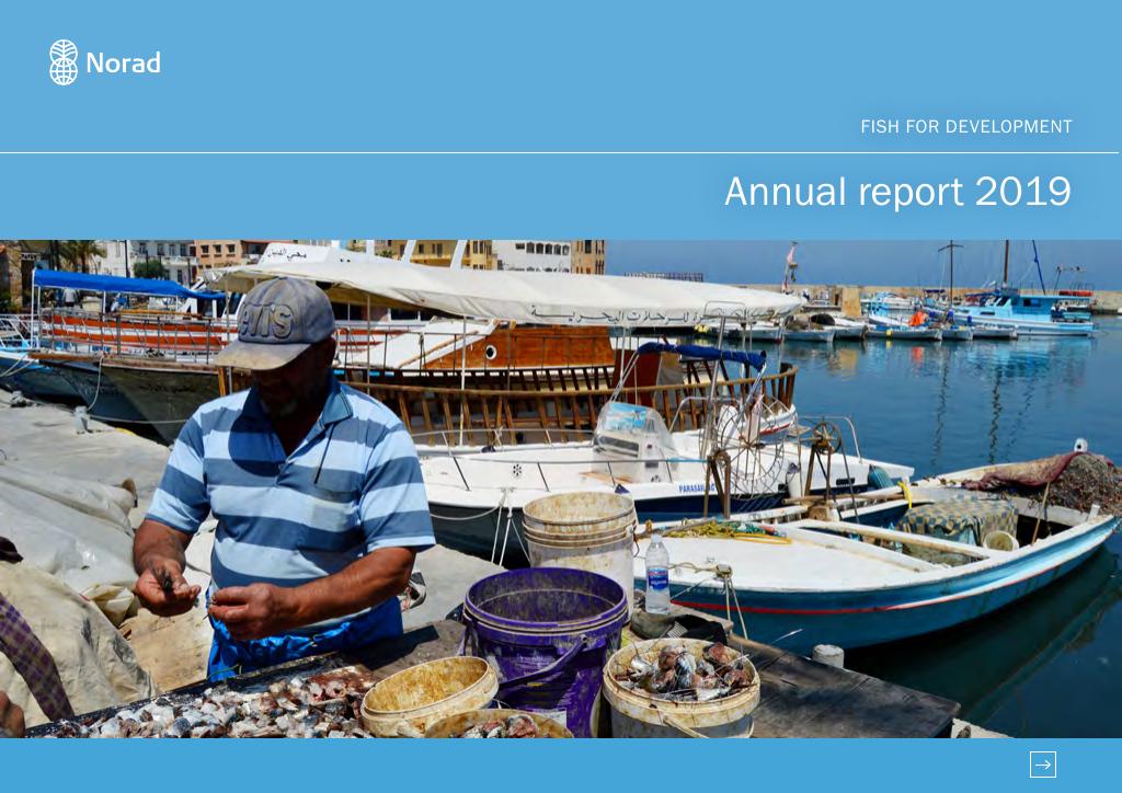 Forsiden av dokumentet Fish for Development - Annual report 2019