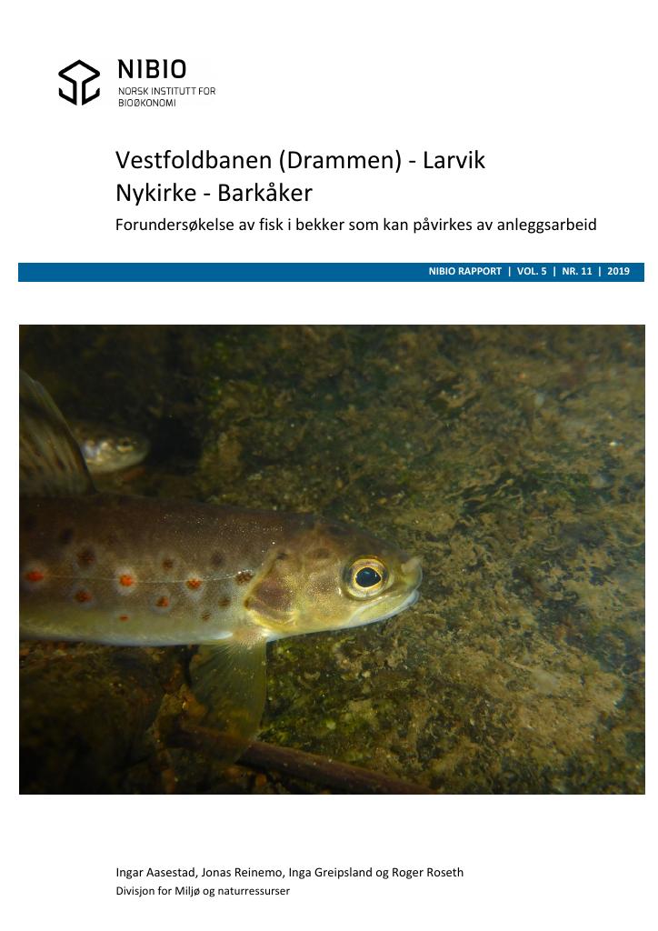 Forsiden av dokumentet Vestfoldbanen (Drammen) – Larvik. Nykirke – Barkåker. Forundersøkelse av fisk i bekker som kan påvirkes av anleggsarbeid.
