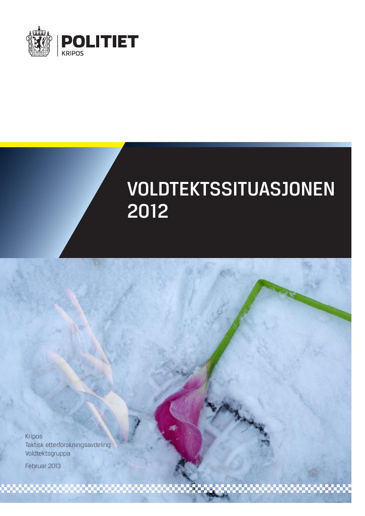 Forsiden av dokumentet Voldtektssituasjonen i Norge 2012