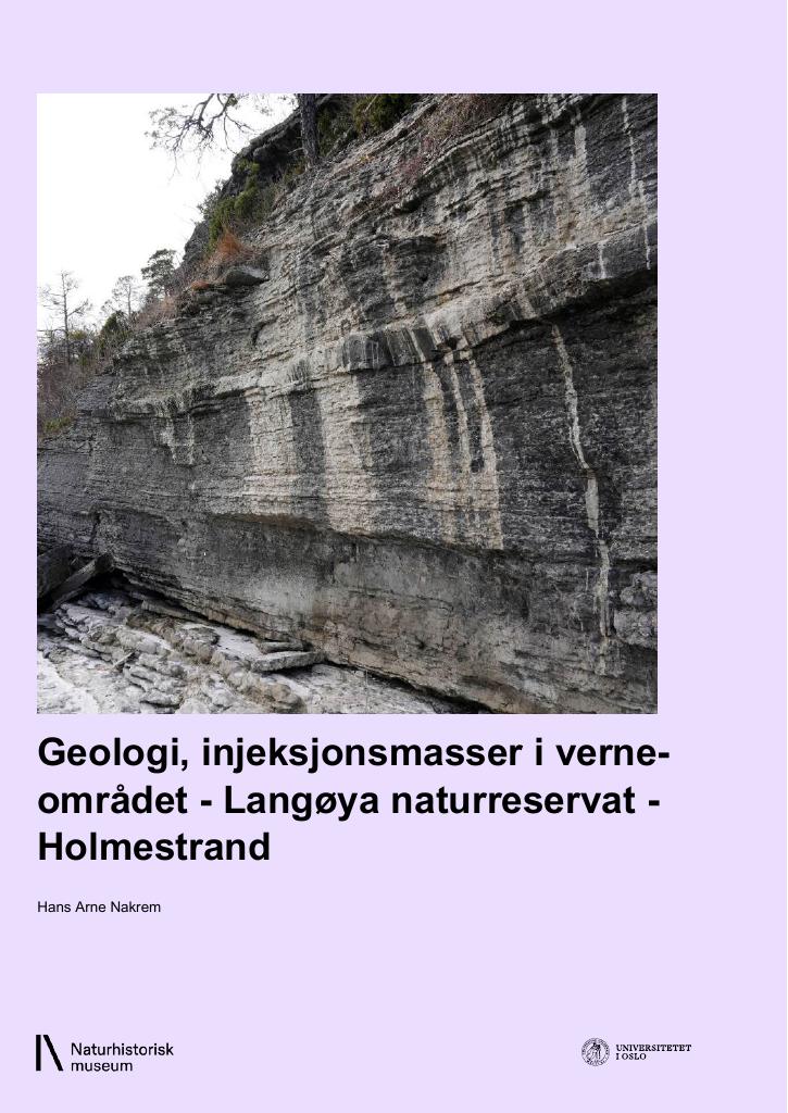 Forsiden av dokumentet Geologi, injeksjonsmasser i verneområdet - Langøya naturreservat - Holmestrand