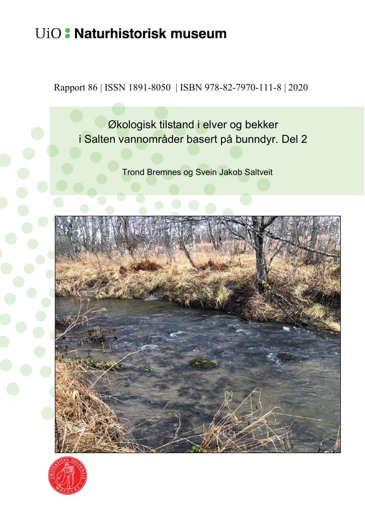 Forsiden av dokumentet Økologisk tilstand i elver og bekker i Salten vannområder basert på bunndyr. Del 2