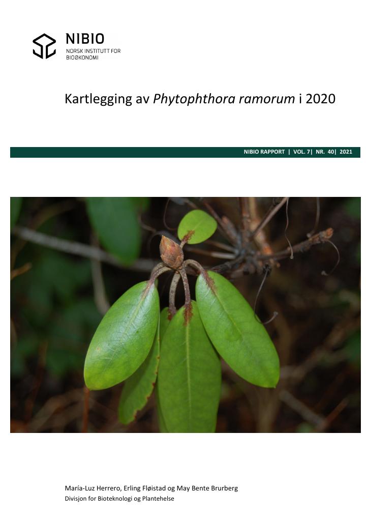 Forsiden av dokumentet Kartlegging av Phytophthora ramorum i 2020