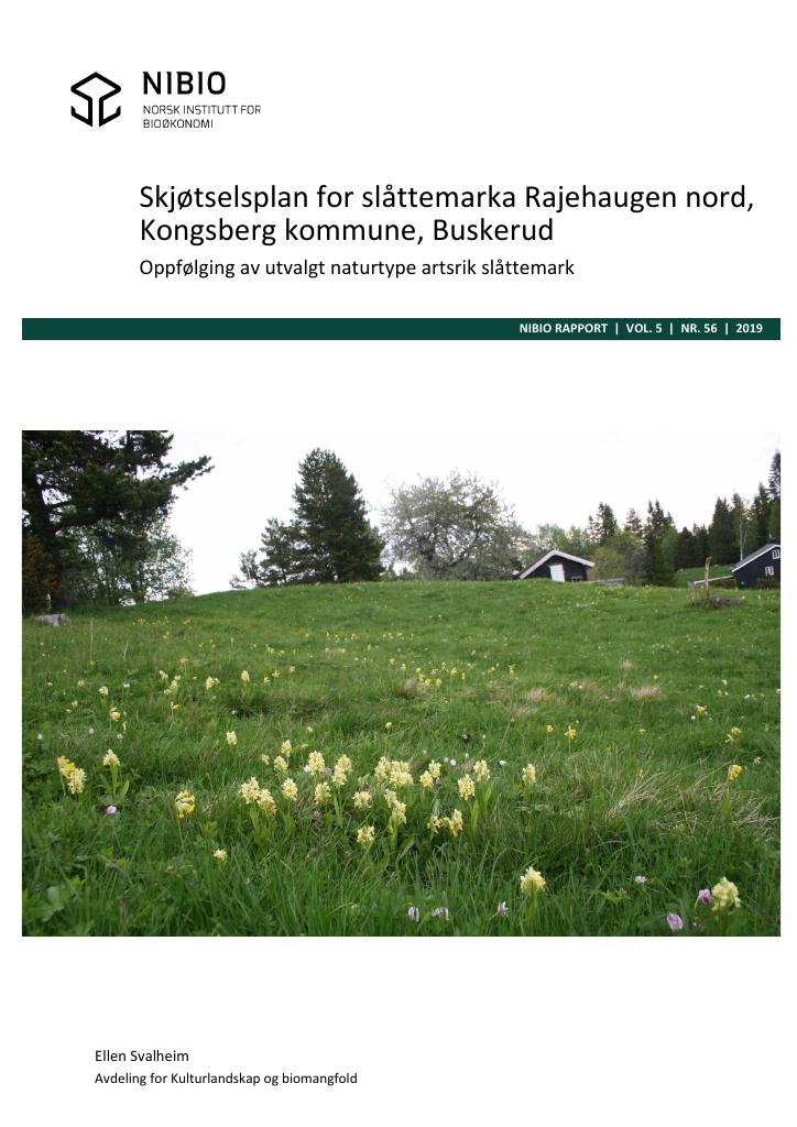 Forsiden av dokumentet Skjøtselsplan for slåttemarka Rajehaugen nord, Kongsberg kommune, Buskerud : oppfølging av utvalgt naturtype artsrik slåttemark