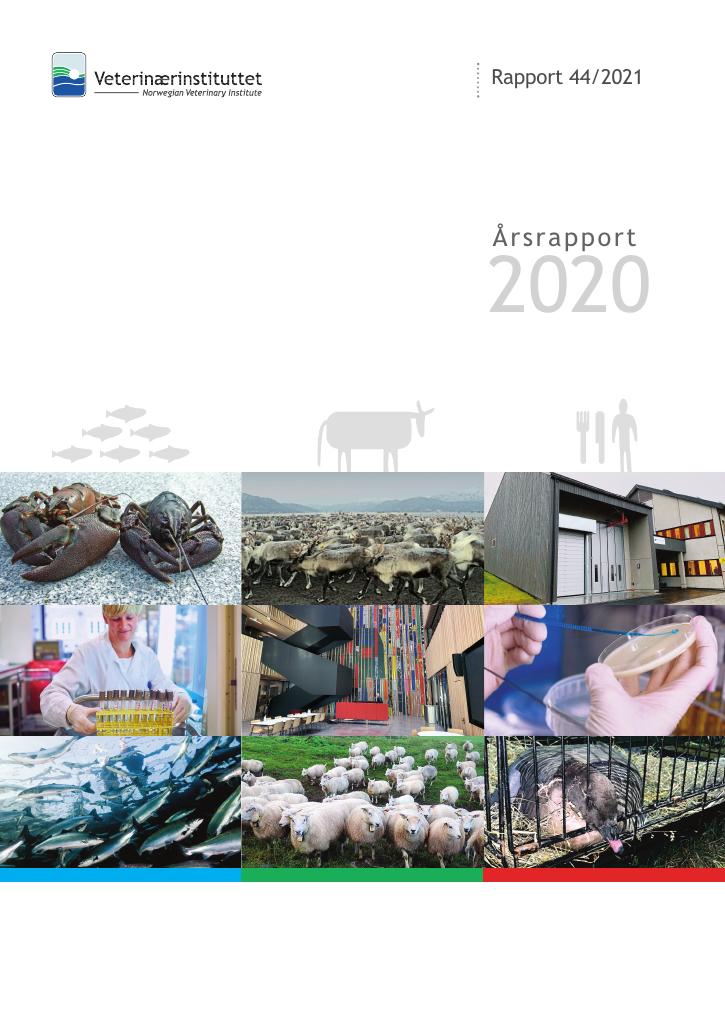 Forsiden av dokumentet Årsrapport Veterinærinstituttet 2020