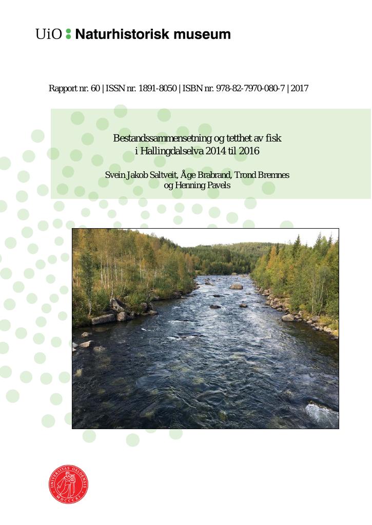 Forsiden av dokumentet Bestandssammensetning og tetthet av fisk i Hallingdalselva 2014 til 2016