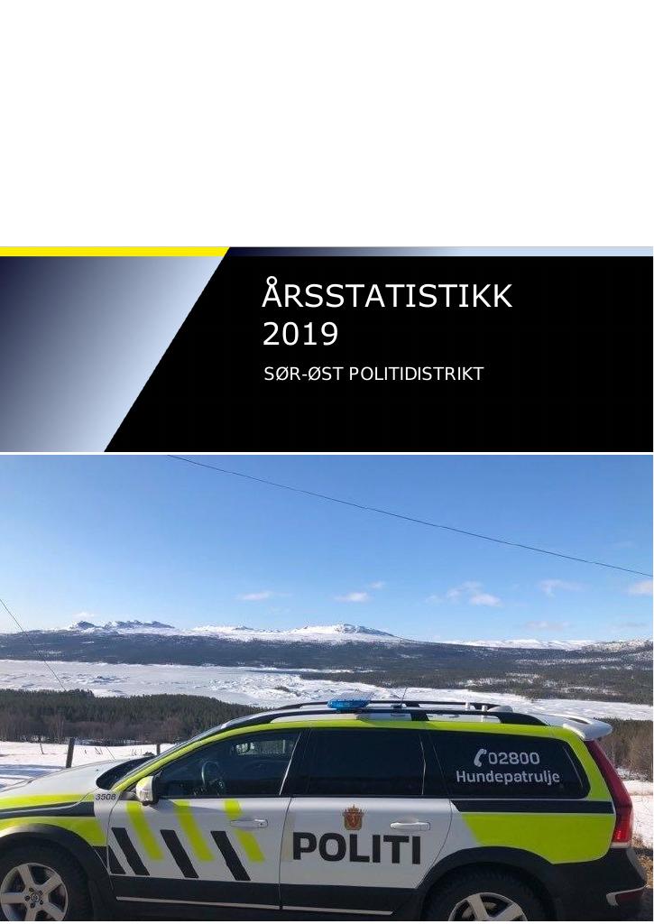 Forsiden av dokumentet Straffesakstall Sør-øst 2019 Årsrapport