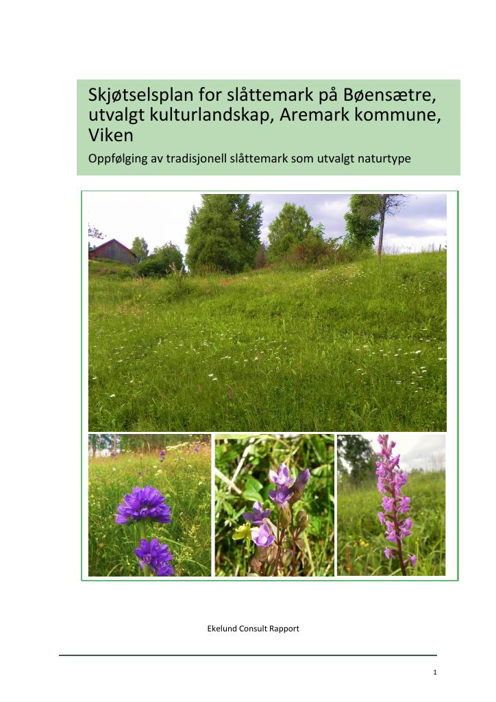 Forsiden av dokumentet Skjøtselsplan for slåttemark på Bøensætre, utvalgt kulturlandskap, Aremark kommune, Viken