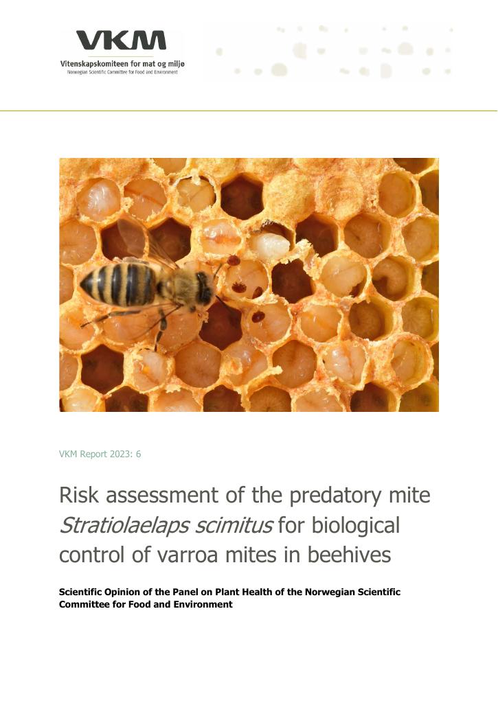 Forsiden av dokumentet Risk assessment of the predatory mite Stratiolaelaps scimitus for biological control of varroa mites in beehives