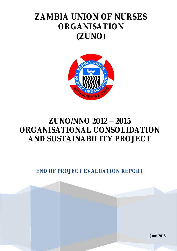 Forsiden av dokumentet Organisation Consolidation and Sustainability Project
