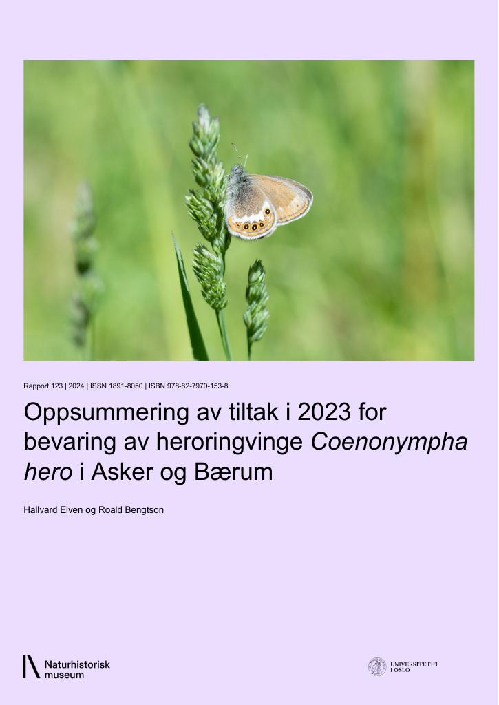Forsiden av dokumentet Oppsummering av tiltak i 2023 for bevaring av heroringvinge Coenonympha hero i Asker og Bærum