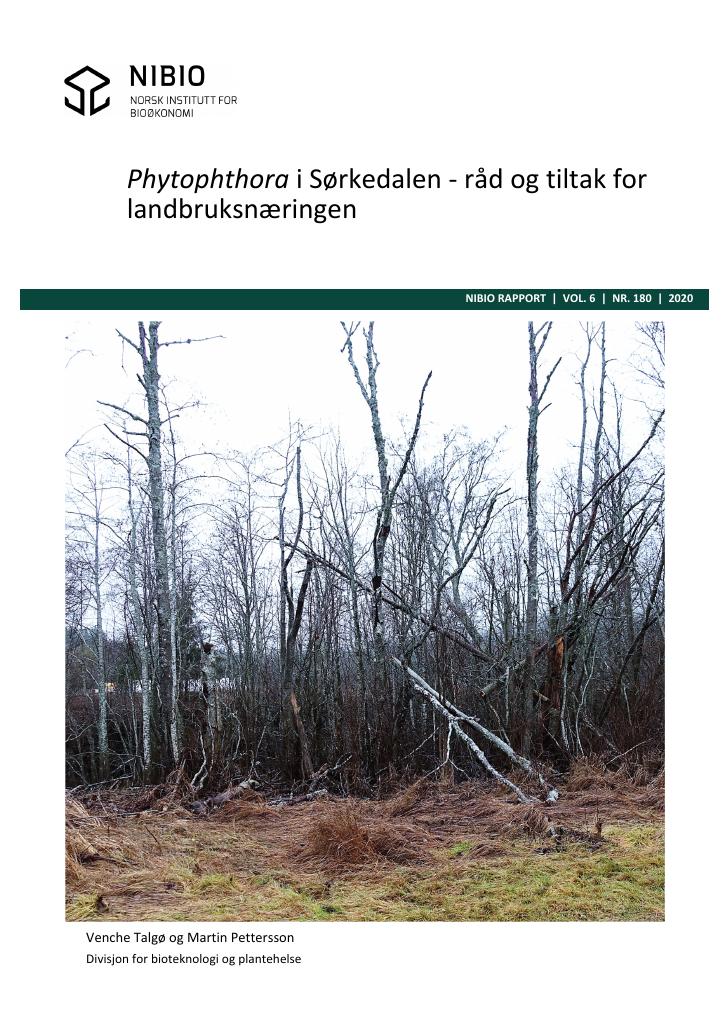 Forsiden av dokumentet Phytophthora i Sørkedalen : råd og tiltak for landbruksnæringen