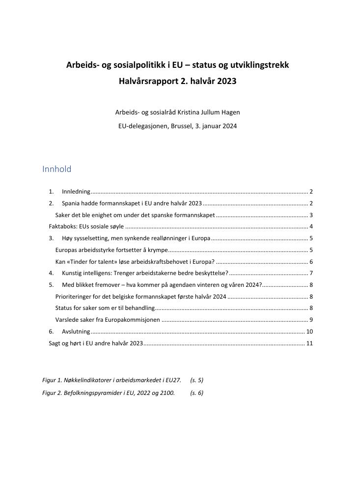 Forsiden av dokumentet EU-delegasjonens halvårsrapport om arbeids- og sosialsaker 2. halvår