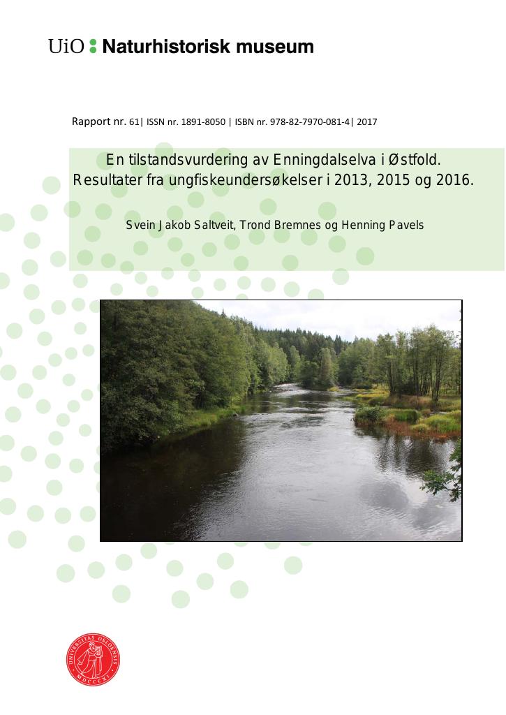Forsiden av dokumentet En tilstandsvurdering av Enningdalselva i Østfold. Resultater fra ungfiskeundersøkelser i 2013, 2015 og 2016