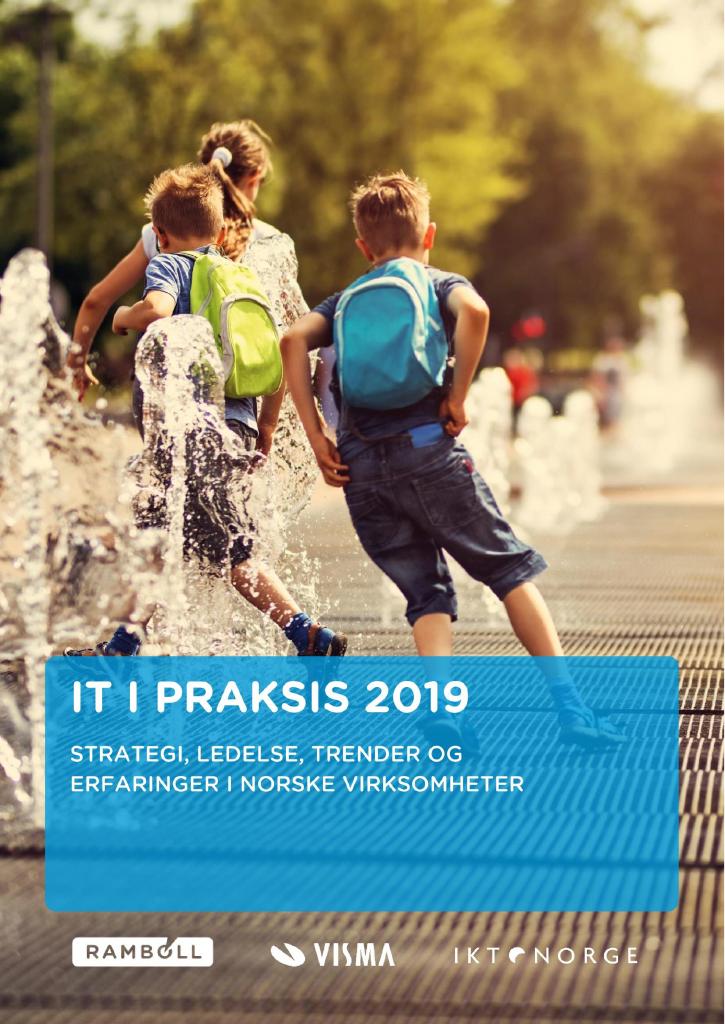 Forsiden av dokumentet IT i praksis 2019