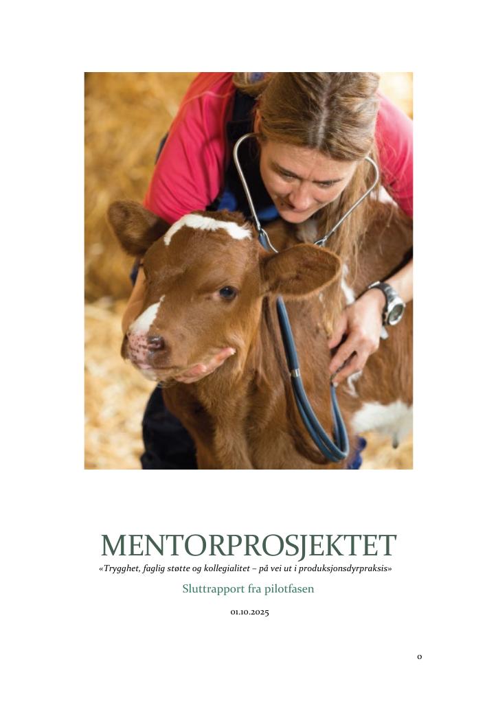 Forsiden av dokumentet Mentorprosjektet