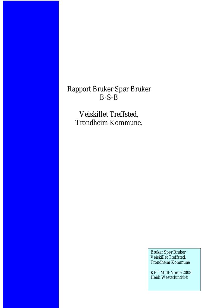 Forsiden av dokumentet Rapport Bruker Spør Bruker - Veiskillet Treffsted, Trondheim Kommune