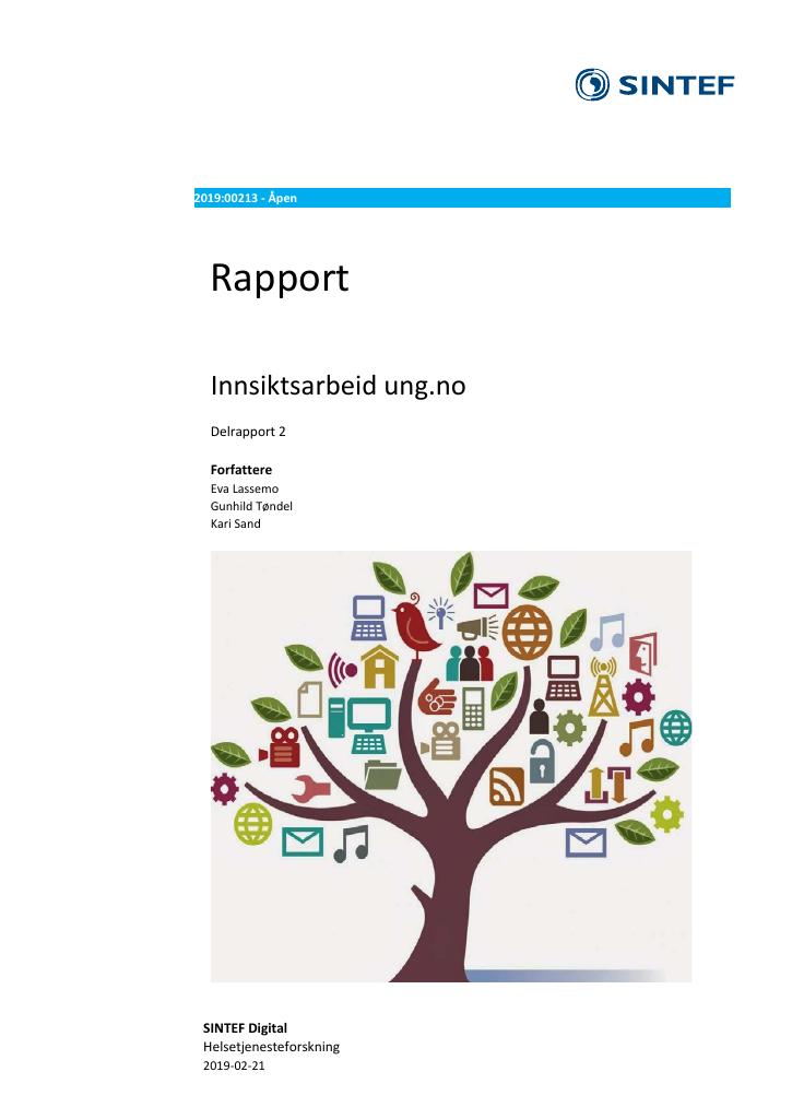 Forsiden av dokumentet lnnsiktsarbeid ung.no. Delrapport 2