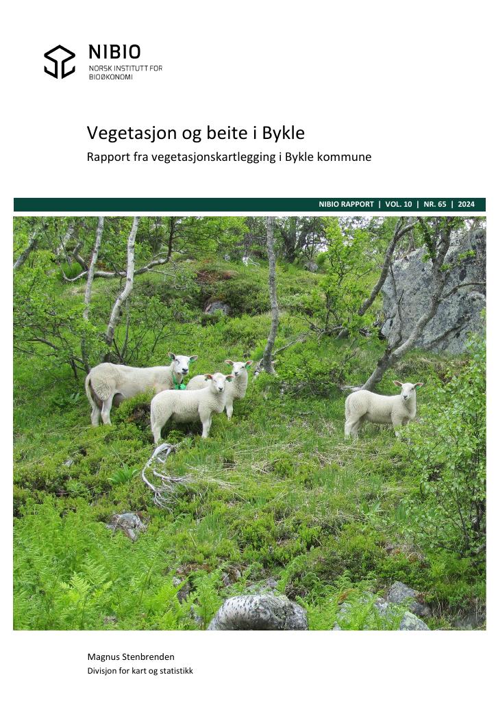 Forsiden av dokumentet Vegetasjon og beite i Bykle - Rapport fra vegetasjonskartlegging i Bykle kommune.