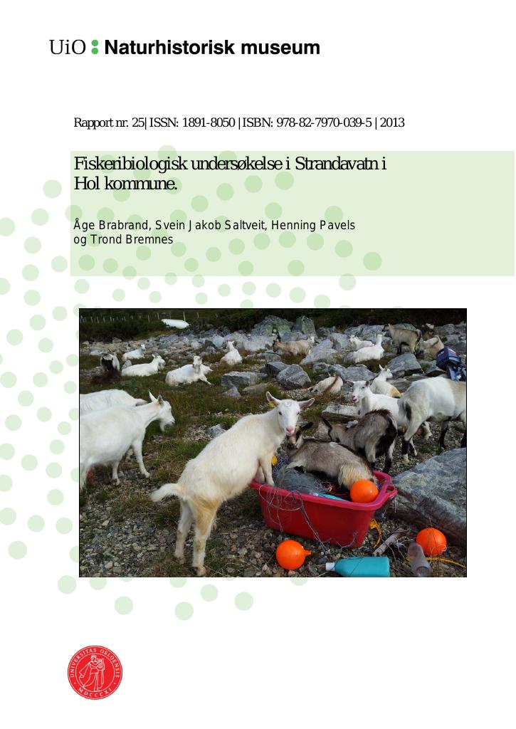 Forsiden av dokumentet Fiskeribiologisk undersøkelse i Strandavatn i Hol kommune
