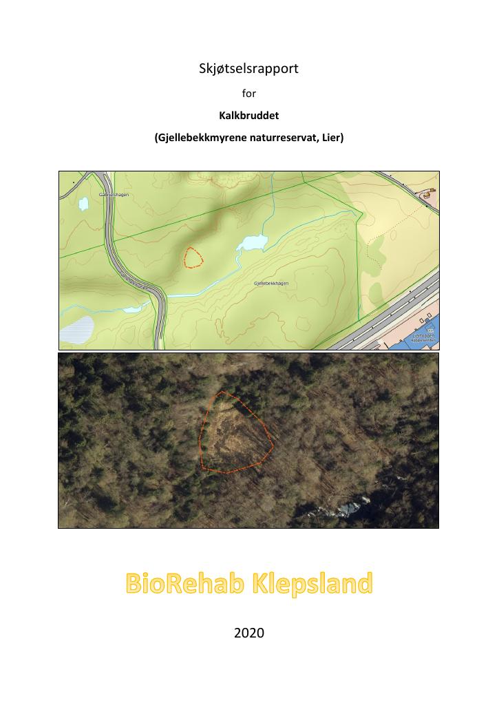 Forsiden av dokumentet Skjøtselsrapport for Kalkbruddet (Gjellebekkmyrene naturreservat, Lier)