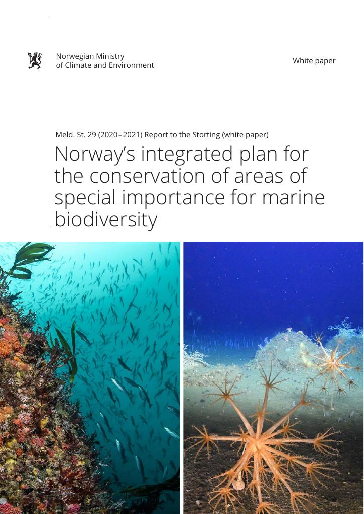 Forsiden av dokumentet Meld. St. 29 (2020–2021)