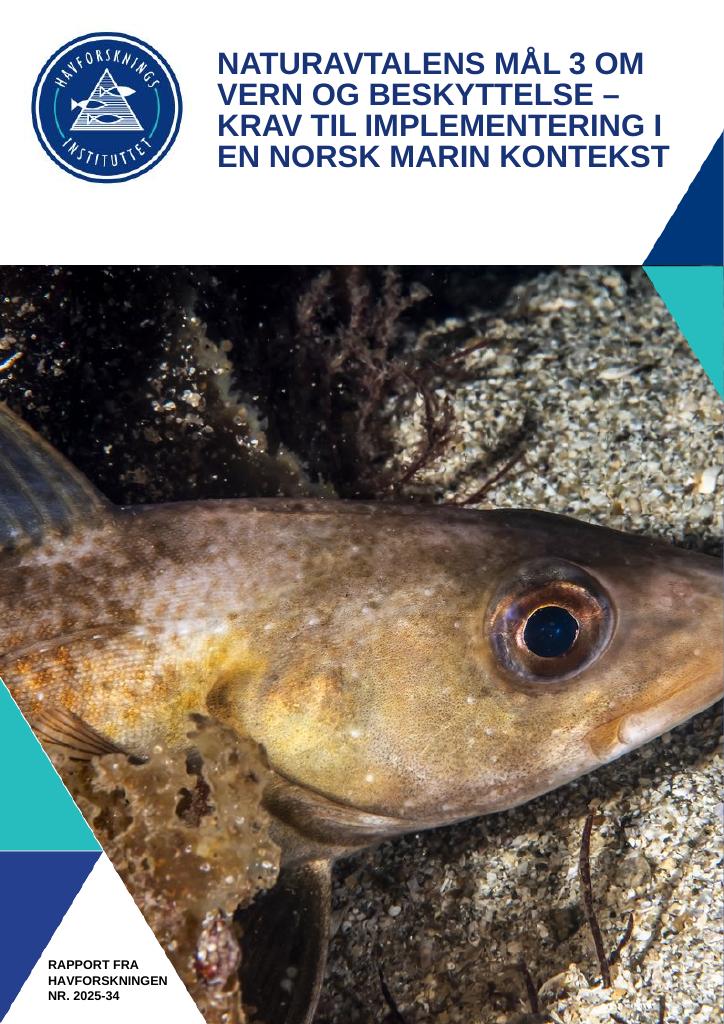 Forsiden av dokumentet Naturavtalens Mål 3 om vern og beskyttelse - Krav til implementering i en norsk marin kontekst