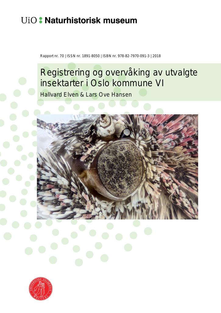 Forsiden av dokumentet Registrering og overvåking av utvalgte insektarter i Oslo kommune VI