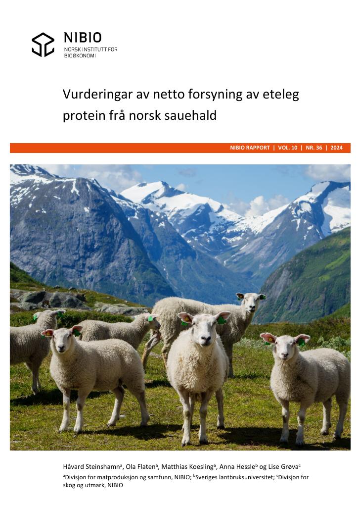 Forsiden av dokumentet Vurderingar av netto forsyning av eteleg protein frå norsk sauenæring