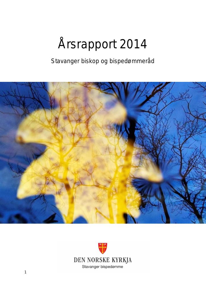 Forsiden av dokumentet Årsrapport Stavanger biskop og bispedømmeråd 2014