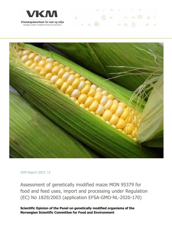 Forsiden av dokumentet Assessment of genetically modified maize MON 95379 for food and feed uses, import and processing under Regulation (EC) No 1829/2003 (application EFSA‐GMO‐NL‐2020‐170)