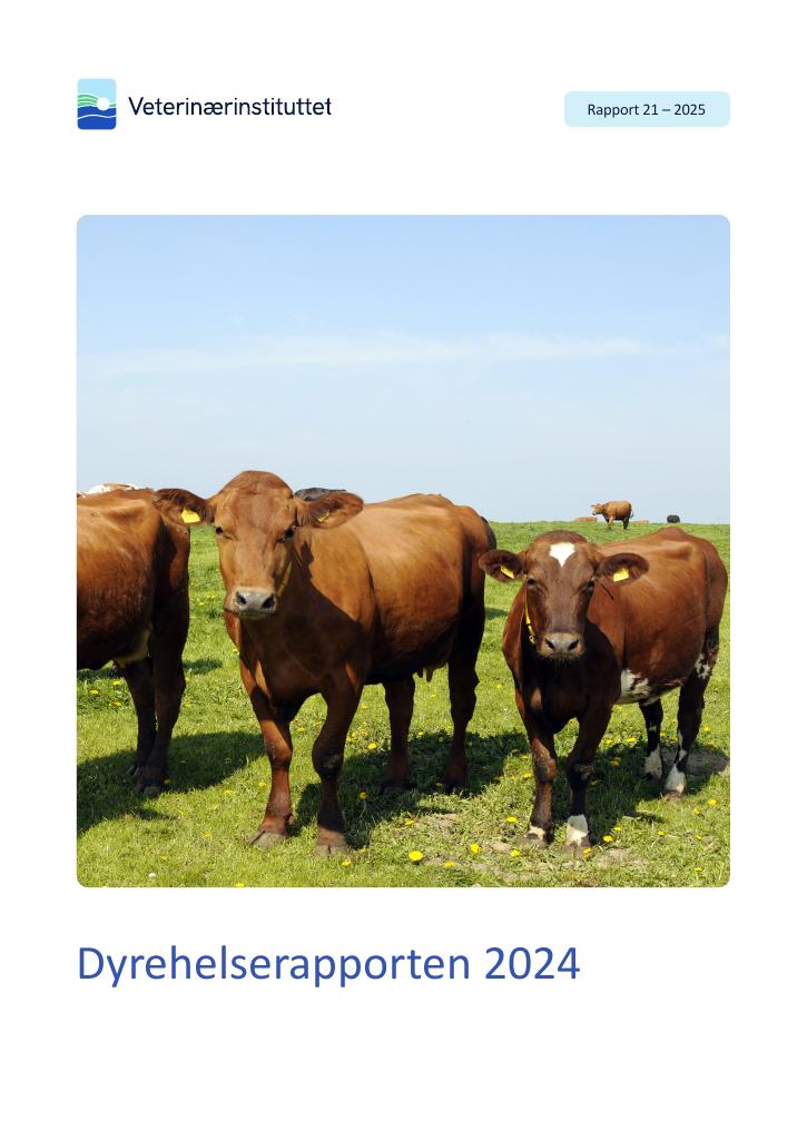 Forsiden av dokumentet Dyrehelserapporten 2024