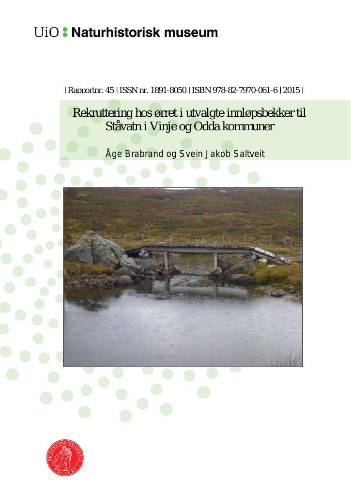 Forsiden av dokumentet Rekruttering hos ørret i utvalgte innløpsbekker til Ståvatn i Vinje og Odda kommuner