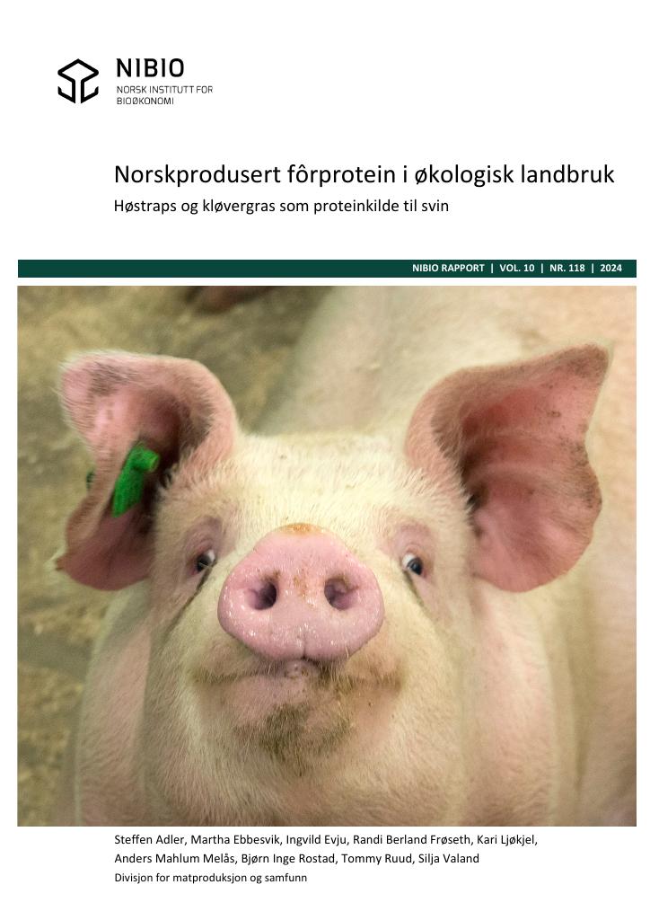 Forsiden av dokumentet Norskprodusert økologisk fôrprotein – Høstraps og kløvergras som proteinkilde til svin