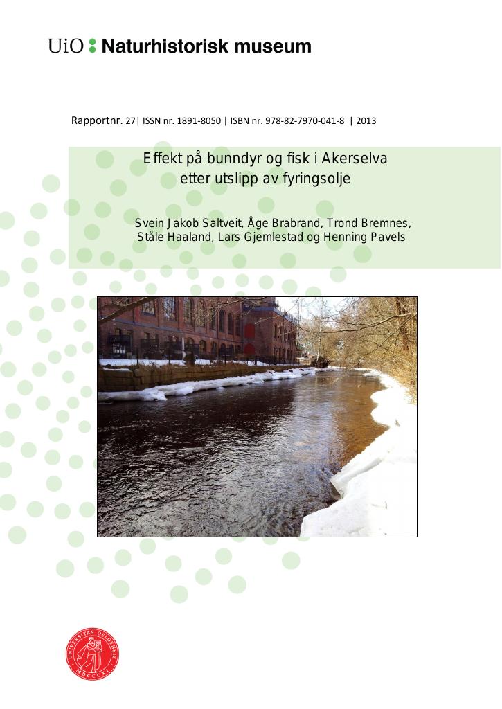Forsiden av dokumentet Effekt på bunndyr og fisk i Akerselva etter utslipp av fyringsolje