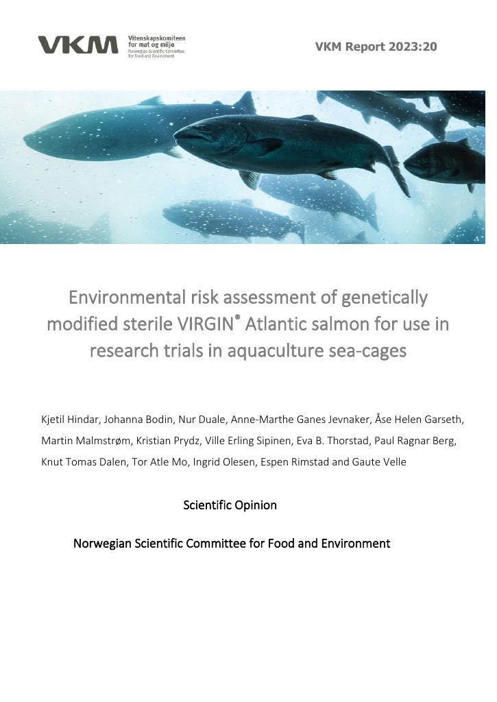 Forsiden av dokumentet Environmental risk assessment of genetically modified sterile VIRGIN® Atlantic salmon for use in research trials in aquaculture sea-cages